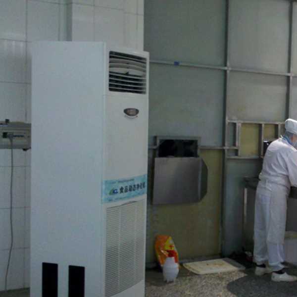 天津食品正负离子空气杀菌器